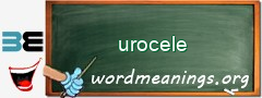 WordMeaning blackboard for urocele